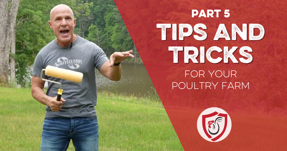 Tips and Tricks for Poultry Farmers: Part Five - Southland Organics