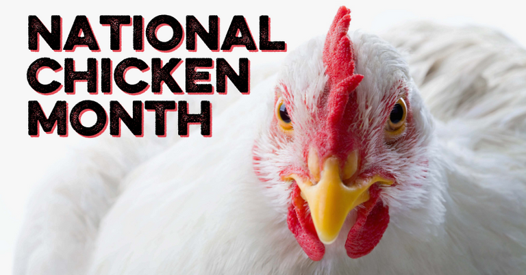 Happy National Chicken Month! - Southland Organics