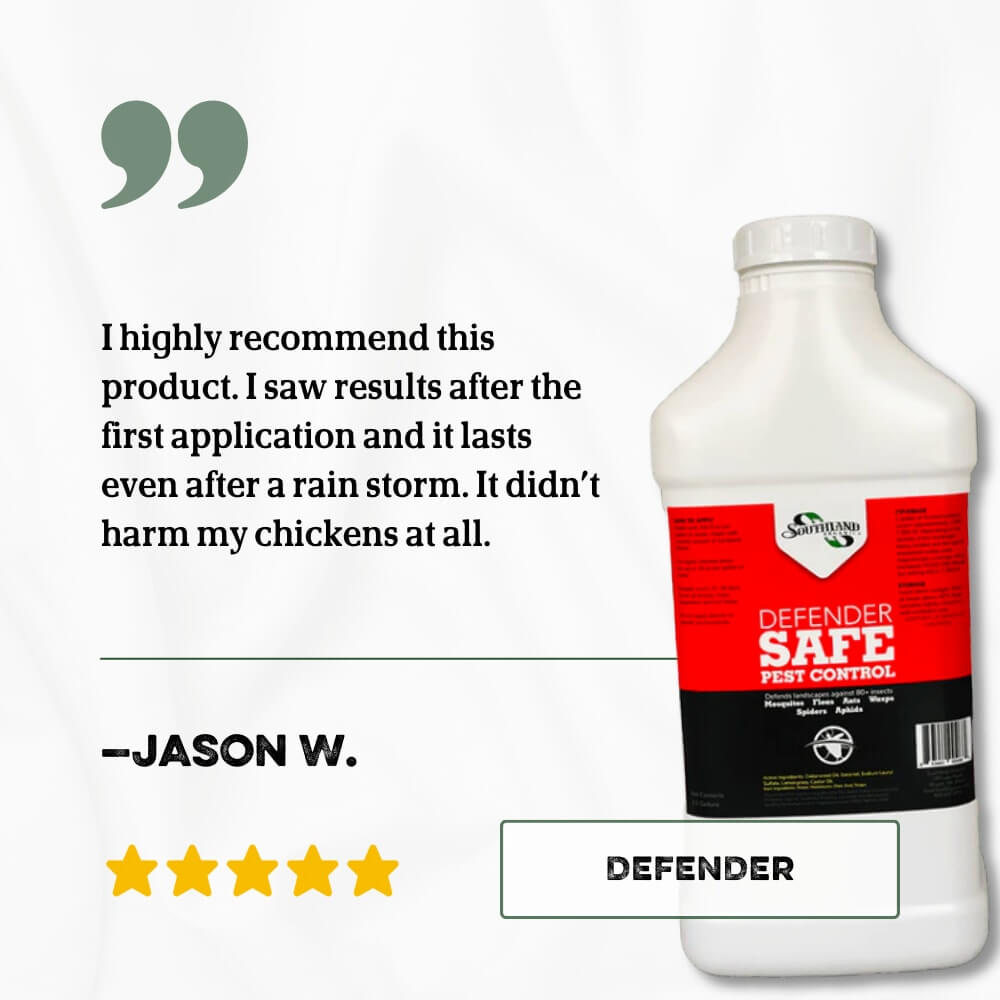 Defender Review