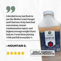 Thumbnail for Mother Load Review