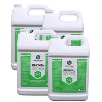 Thumbnail for Revival Liquid Aerator Case: 4 x 1 Gallon