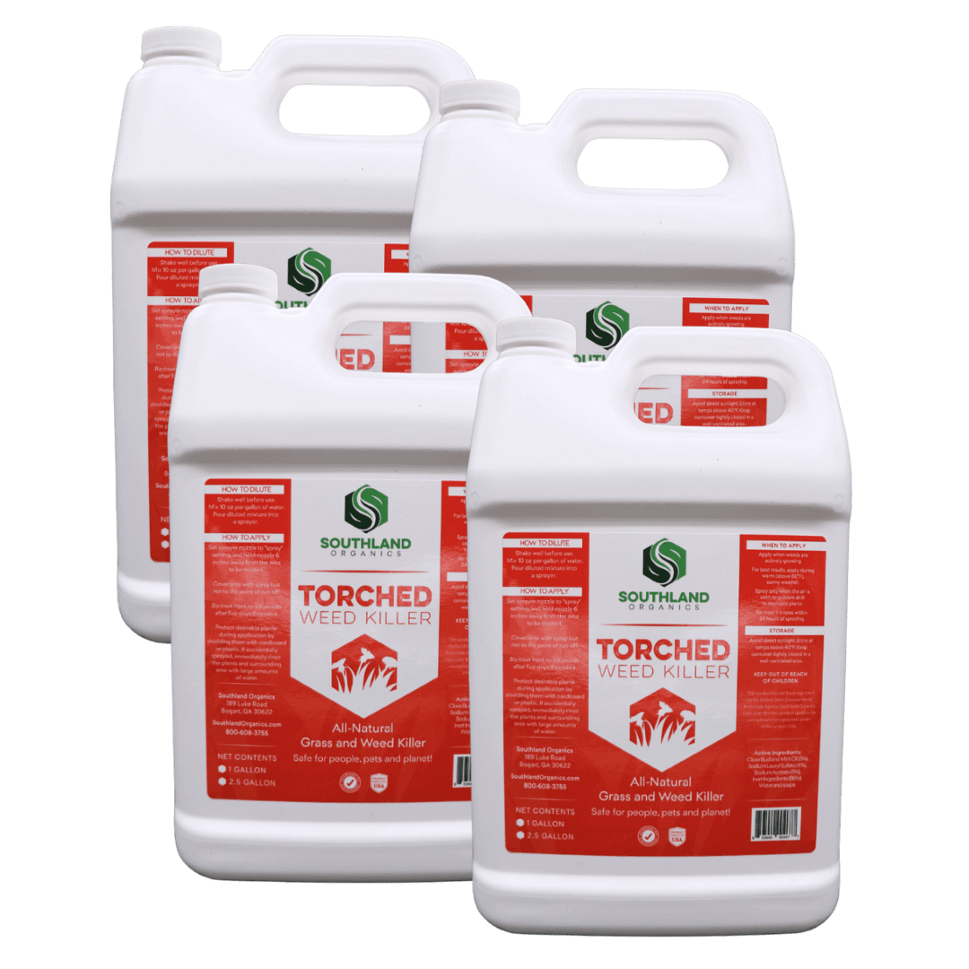 Torched Weed Killer Case: 4 x 1 Gallon